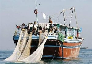 آینده صیادی و ذخایر ماهیان خلیج فارس در خطر است
