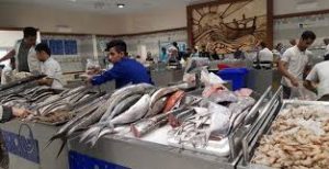 نظارت نمایندگان تعاونی صیادان بر قیمت و کیفیت عرضه ماهی