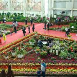 برپایی اولین نمایشگاه گل و گیاه در کیش