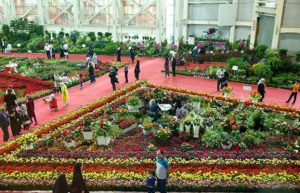 برپایی اولین نمایشگاه گل و گیاه در کیش