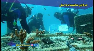 اجرای طرح انتقال قلمه برای احیای مرجان‌های کیش