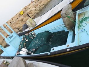 دستگیری ۲۵ صیاد متخلف در نیمه نخست تیر در آب‌های کیش