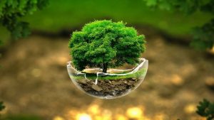 گل سبز کیش به جام جهانی با همکاری سازمان حفاظت محیط زیست