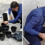 تله گذاری و مراقبت حشره شناسی پشه آئدس در کیش