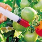 امکان کنترل تراریختگی محصولات غذایی در کیش فراهم شد