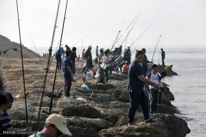 مقدمات تشکیل تیم ملی ماهیگیری در حال انجام است