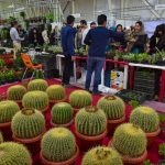 برگزاری دومین نمایشگاه گل و گیاه در جزیره کیش برای نخستین بار