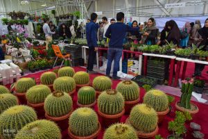 برگزاری دومین نمایشگاه گل و گیاه در جزیره کیش برای نخستین بار