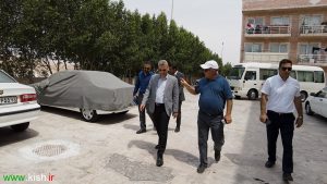 درختکاری ۱۰ هزار مترمربع از اراضی اطراف شهرک رز کیش