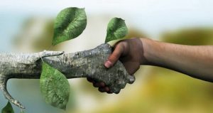 کیش میزبان نشست جهانی محیط زیست میشود