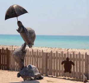 حفاظت از محیط زیست، یک خط قرمز مهم در جزیره‌ی کیش است