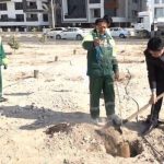 پویش درختکاری در سایه مادر با مشارکت ساکنان کیش