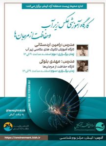 برگزاری کارگاه حفاظت از مرجان‌ها و نمایشگاه عکس آبی در کیش