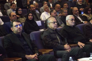 استاندار هرمزگان: اجرای طرح تردد خودروهای پلاک کیش و قشم، ثمره همدلی و حکمرانی مردم‌محور است